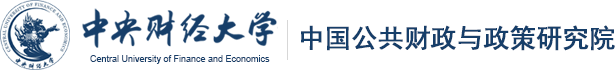 公共财政与政策研究院new 公共财政与政策研究院new